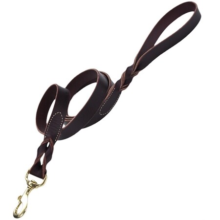 Coastal Pet Coastal Latigo Leather Twist Dog Leash with Solid Brass 1 in 3814-1